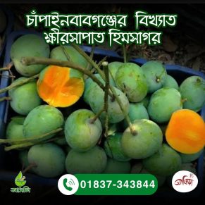 চাঁপাইনবাবগঞ্জের ক্ষীরসাপাত