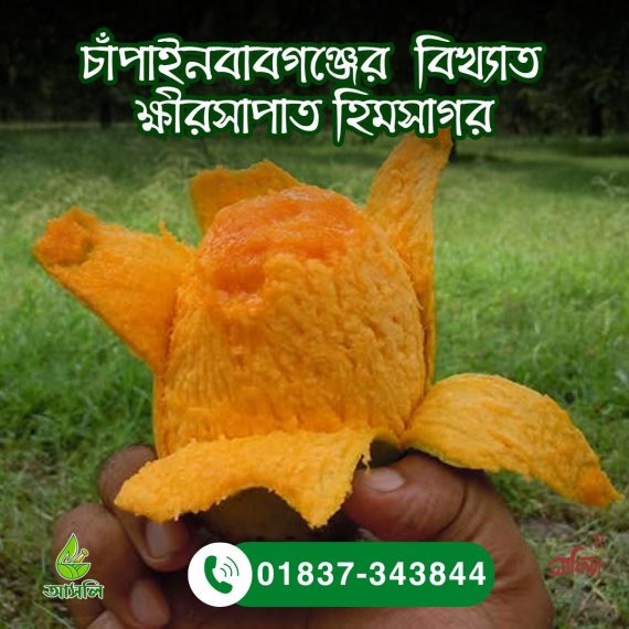 চাঁপাইনবাবগঞ্জের ক্ষীরসাপাত