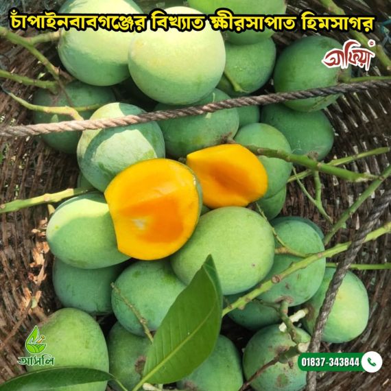 চাঁপাইনবাবগঞ্জের ক্ষীরসাপাত