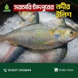 চাঁদপুরের নদীর মিঠা পানির ইলিশ Mitha pani er Ilish from Chandpur