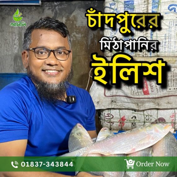 চাঁদপুরের নদীর মিঠা পানির ইলিশ Mitha pani er Ilish from Chandpur