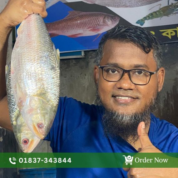 চাঁদপুরের লোকাল টেম্পু ইলিশ (কেজিতে ৪পিস)