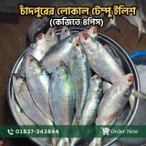চাঁদপুরের লোকাল টেম্পু ইলিশ (কেজিতে ৪পিস)